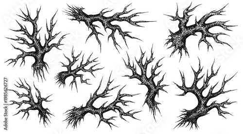 Set of hand drawn spooky bare trees, thorny branches and creepy roots