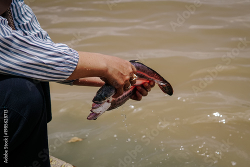 Canvastavla Person releasing a fish into a murky river from a boat