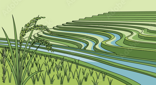 Lush green rice terraces with water channels and stalks in foreground