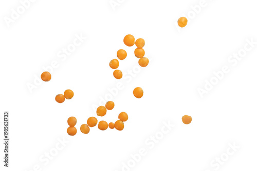 Bild auf Leinwand Scattered orange lentils on transparent background, png.