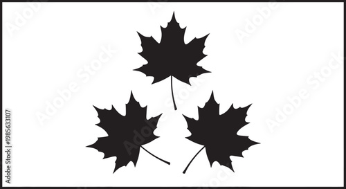 Canada Day Three black maple leaf silhouettes in a classic rectangular frame isolated on white background for nature and Canada themes