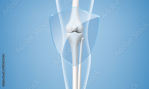Healthy knee joint protected by transparent shield. Orthopedic joint care and prevention concept. Realistic vector illustration