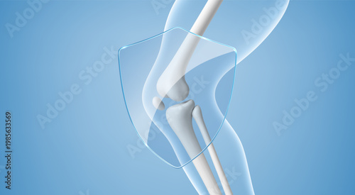 Healthy knee joint protected by transparent shield. Orthopedic joint care and prevention concept. Realistic vector illustration