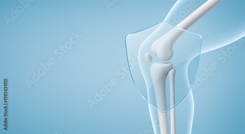 Healthy knee joint protected by transparent shield. Orthopedic joint care and prevention concept. Realistic vector illustration