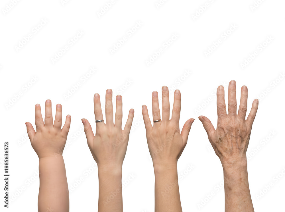 Obraz premium Generations: Hands Across a Lifetime, Rings