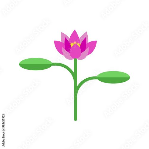 Simple vector asian Lotus Flower with green leaves isolated transparent background. Pink Lotus png design. Perfect for nature spring art concept. Editable stroke EPS 10