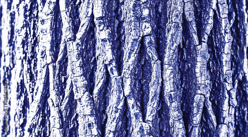 Closeup of tree bark texture with deep ridges and fissures in a stylized blue and white color palette