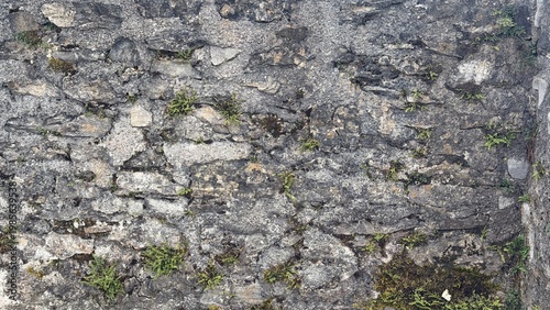 Close-up of an ancient rough stone wall with irregular flat stones. Small ferns and green moss grow between the cracks, giving the surface a natural, aged appearance