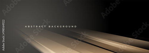 Vector wide dark abstract background with brown and beige stage effect.