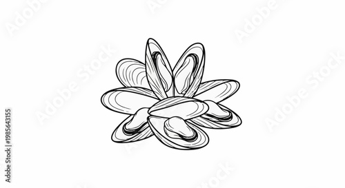 A black and white sketch of stacked mussels arranged like a blooming flower