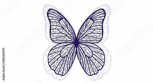 Intricate dark blue butterfly wing pattern on white background