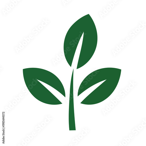 Eco Growth and Leaf Concept Vector Graphics