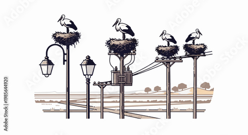 Storks nest on utility poles with street lamps in rural landscape