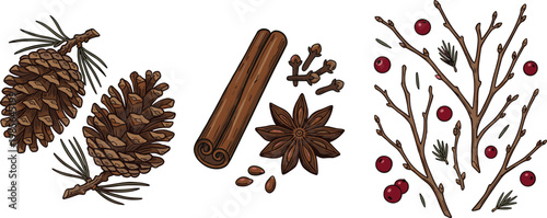 Winter holiday botanical illustration, pinecones green needles cinnamon stick star anise cloves red berries festive seasonal decorative natural artwork