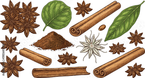 Botanical spices illustration, cinnamon sticks star anise nutmeg leaves composition, detailed natural artwork, stylized botanical drawing for cooking