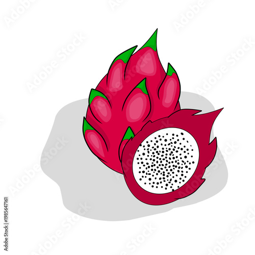 Fresh Sliced Dragon Fruit Pitaya Vector Illustration