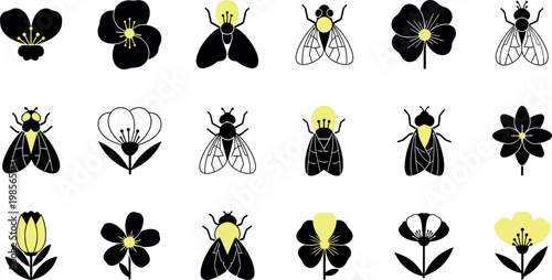 Black and yellow insects flowers flies bees