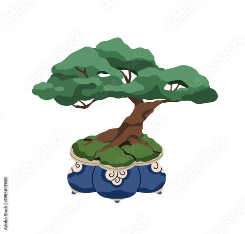 Bonsai, Japan zen art. Japanese tree plant growing in pot. Traditional Asian ...