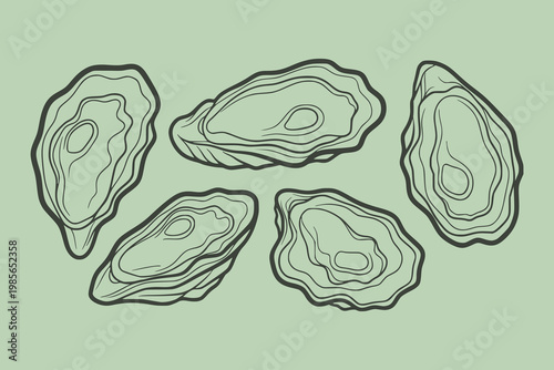 Outlined oyster shells in line art style on a light green background, symbolizing seafood freshness and quality appeal