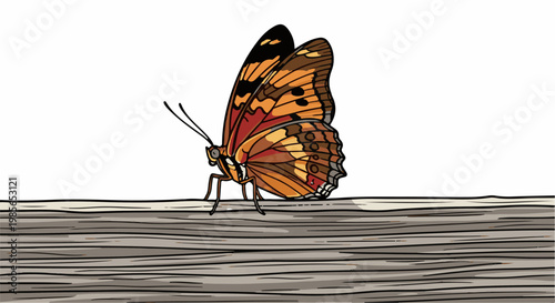 Colorful butterfly perched on a wooden surface