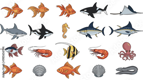 Diverse array of marine life illustrations including sharks, whales, tropical fish, and shellfish are displayed on a clean white background.