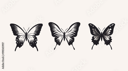 Three butterfly illustrations with differing wing patterns in black, gray, and white against a cream backdrop