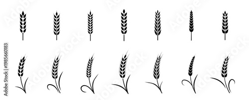 Wheat ears icon set. Wheat logo. Grain spikes set icons.Grain icon. Agriculture symbol. vector illustration