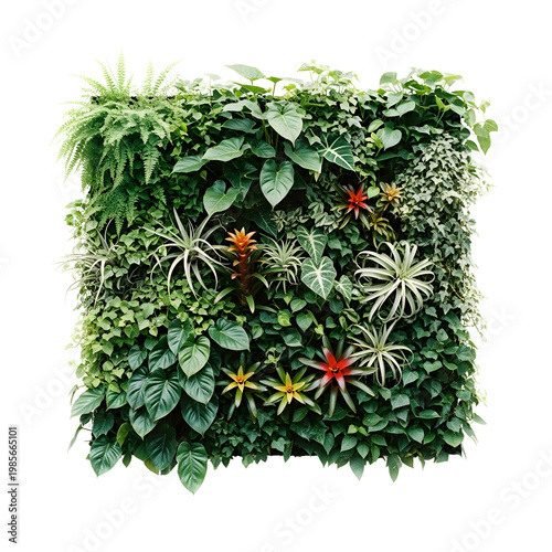 Living wall with assorted green plants and flowers against a transparent background