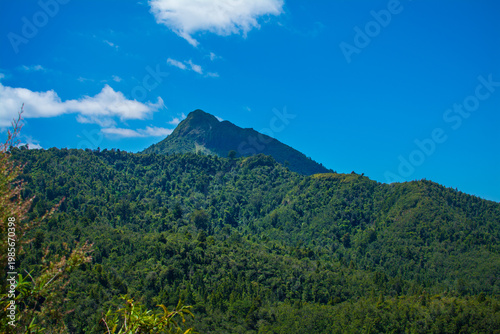 A lush green mountain rises above dense forest under a vivid blue sky. Rugged beauty and serenity of untouched wilderness in a peaceful natural landscape, Coromandel, New Zealand