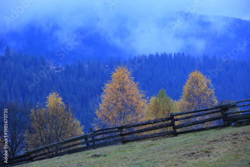 Misty Carpathian mountains in Ukraine with autumn trees and wooden fence