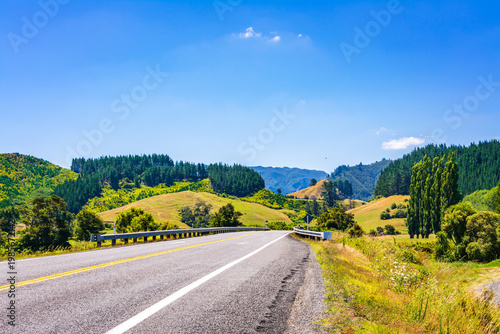 A quiet country road stretches through rolling green hills and forested valleys beneath a clear blue sky. The freedom and beauty of a peaceful rural journey. Coromandel Peninsula, New Zealand