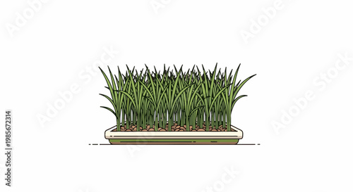 A flat illustration of green grass sprouts growing in a rectangular planter