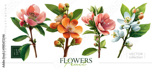 Hand drawn set of springtime flowering branches. Vectorized hand drawn gouache illustrations. Illustrations in the style of vintage painting and botanical illustration