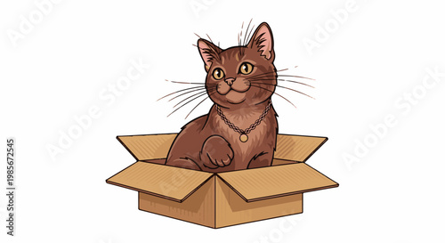 A brown cat with a necklace sits in an open cardboard box