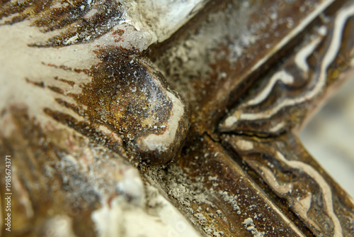 Close Look at Old Wooden Surface Showing Dirt and Textures From Years of Use in a Historic Setting