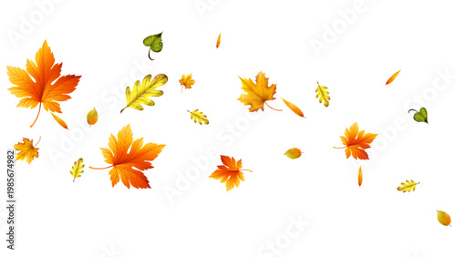 flying leaves autumn realistic white background