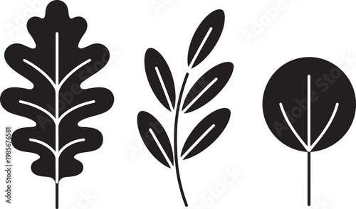 Three simple leaf silhouettes in black with clean lines, isolated in outline style