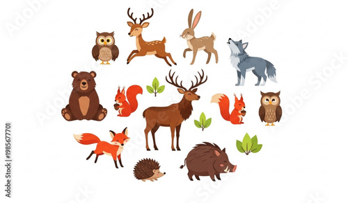 Forest animal collection with cute bear deer fox owl and boar vector