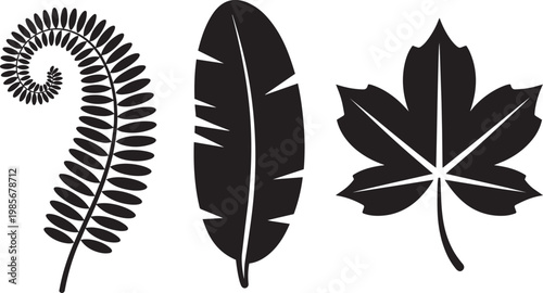 Maple leaf icon set with tropical leaf, black and white, and organic shapes in outline style