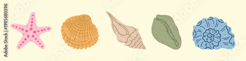 Sea shells set, mollusks, starfish. Trendy flat illustration of seashells collection isolated on white for stickers.