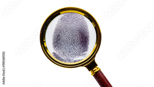 Magnifying glass examining a detailed fingerprint, isolated on transparent background
