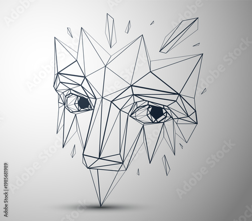 Wireframe identity, polygon...