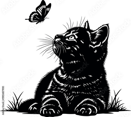 Adorable black kitten curiously watches a butterfly fluttering above