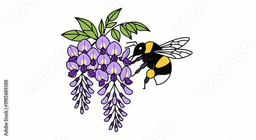 Bee pollinating purple wisteria flowers with green leaves