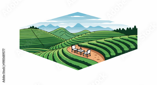 Lush green terraced hills with a scenic mountain vista and a quaint seating area