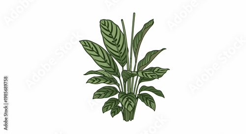 Stylized drawing of a lush green plant with striped leaves