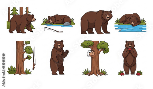 Grizzly brown bear vector set showing daily life and forest activities