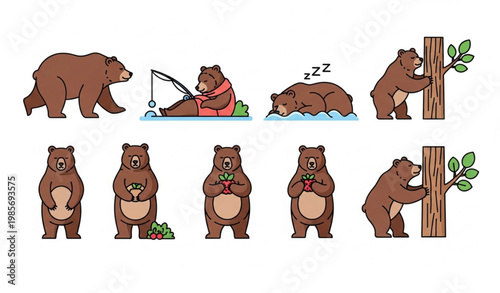 Grizzly bear vector bundle showing forest life and daily animal actions