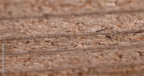 The chipboard is stacked, the ends of the   chipboard are pressed into even rows with a visible chip structure under warm light with clear details and organic texture.