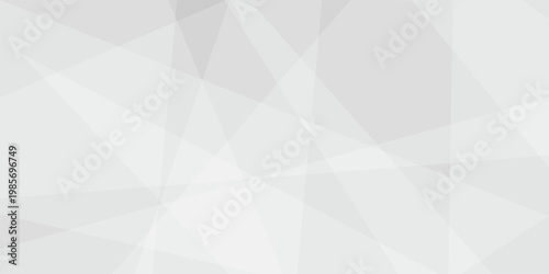 Abstract background with white and gray and geometric style with simple lines and corners, polygons as background geometric style with simple lines and corners, polygons as background paper texture